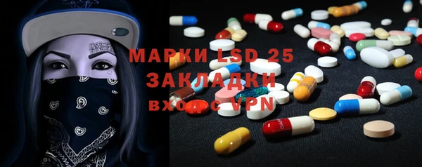 крисы Инта