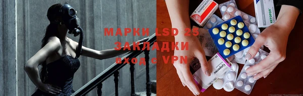 прущая мука Инсар