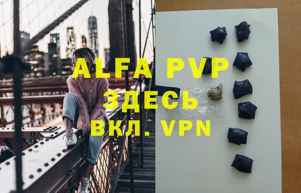 крисы Инта