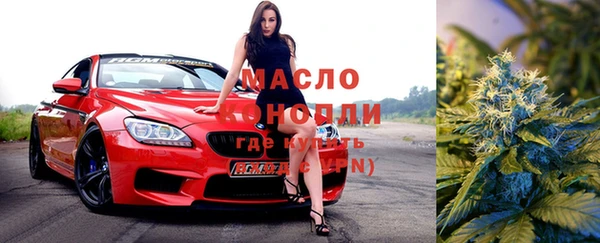 крисы Инта