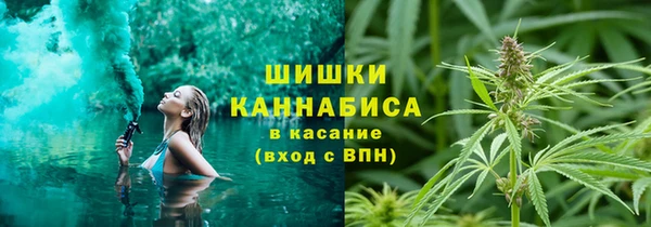 крисы Инта