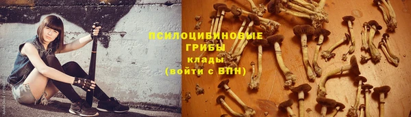 прущая мука Инсар