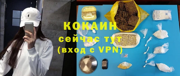 крисы Инта
