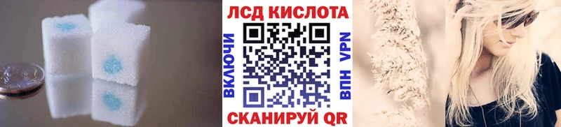Купить закладки  Белая Холуница  ЛСД экстази ecstasy 