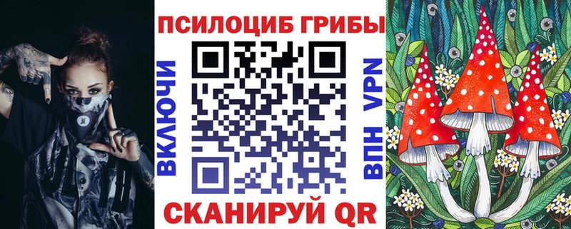 Купить закладки  Белая Холуница  Псилоцибиновые грибы MAGIC MUSHROOMS 